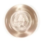 CO742 Sepia