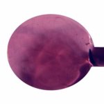 v042 ������� ������� ����������